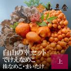  Hakusan. . комплект ( сверху ) прямая поставка от производителя ... намеко АО намеко .... подарочная коробка 