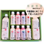 フルーツ甘酒ギフトB−30 贈答用 吟醸酒粕 米こうじ はちみつ ピーチ ブルーベリー さくらんぼ リンゴ