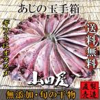 干物 ひもの 伊豆 海産物 あじの玉手箱 18枚入 詰め合わせ セット アジ 鯵 自家製 無添加 お歳暮 お年賀 母の日 父の日 ギフト プレゼント