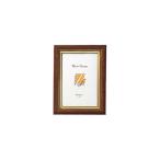 ( суммировать ) Sakura kre Pas свечение si- рама сервис E штамп Brown UFWA-E#12 1 листов (×10 комплект )