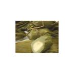  пробный . Niigata достопримечательность традиция. тест . данго miso ..10 шт 