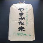 【新米予約】2019年山形県産「つや姫」特別栽培米 ３０kg 一等米