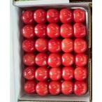 さくらんぼ 紅秀峰 山形県産 最高級 贈答用 ギフト 御中元 自家農園栽培 ２Ｌサイズ ５００ｇ×１パック 予約商品