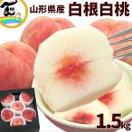 mo. персик Yamagata префектура производство Shirone белый персик .... ...1.5kg 4~6 шар .. надежно еда чувство белый персик фрукты прямая поставка от производителя высота сахар раз ваш заказ 