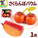 ギフト人気 YAMAGATA FRUITS BAUM さくら�
