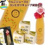 ギフト ジュース 米 山形県産 果汁100%【りんごジュース】500ml×1本 【キューブ米】コシヒカリ 300g×3個 詰合せ ストレートジュース 送料込 母の日 父の日