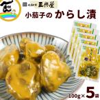 小茄子のからし漬 100g×5袋 晩菊本舗