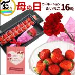 母の日 ギフト プレゼント 宮城県産 いちご とちおとめ 16粒 カーネーション 生花1本 赤 花 フルーツ セット お祝い