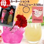 母の日 ギフト 山形県産りんご100％ジュース500ml カーネーション生花1本 限定 プレゼント 贈り物 詰合せ