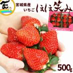  клубника сахар раз .. подарок .. Miyagi префектура ... щека смех .250g×2P крупный высококлассный свежий ваш заказ клубника .