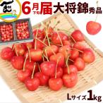 さくらんぼ 山形県産 大将錦 1kg(500g×2P) Lサイズ 秀品 バラ詰 贈答用 ギフト 高級フルーツ お中元 お祝い