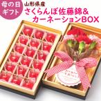 母の日 花 フルーツ 山形県産さくらんぼ佐藤錦＆カーネーションボックス ギフト プレゼント 限定 贈り物
