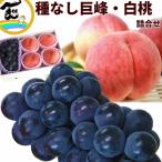 【5480円→今だけ10%引き】フルーツ 詰合せ 国産種なし巨峰 と 福島県産白桃詰合せ (種なし巨峰 :400g×1房、白桃:3〜4個、計900g) フルーツギフト