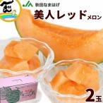 メロン ギフト 高糖度 JA秋田なまはげ 秋田レッドメロン(赤肉) 2玉 約3kg ※つる無し、1玉約1.5kg 送料込