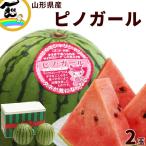 ショッピングスイカ すいか スイカ 山形県 村山市 門脇さん栽培 小玉すいか ピノガール 1.6kg以上 計2玉 お中元 ギフト 7月中旬頃から発送 送料込