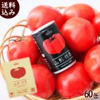 ショッピングトマトジュース まとめ買い ジュース トマトジュース 山形代表 トマト100%ストレートジュース 無塩 計60缶(160g×20缶×3箱)  サン＆リブ SUN＆LIV 送料込