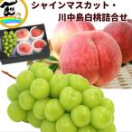 【セール中】ギフト 福島県産 シャインマスカット&川中島白桃詰合せ (シャインマスカット:秀品、1房、500g、川中島白桃:秀品、4個) 桃 ぶどう