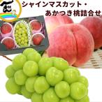 福島県産 シャインマスカットとあかつき桃のギフト詰め合わせ
