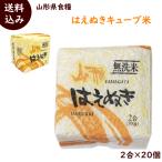 山形県産 はえぬき キューブ米 300g(2合)×20個 送料込