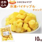 冷凍パイナップルチャンク 500g×20袋 まとめ買い トロピカルマリア 冷凍パイン 送料込