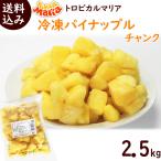 冷凍パイナップルチャンク 500g×5袋 冷凍パイン トロピカルマリア 送料込