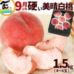  персик прекрасный . белый персик Yamagata префектура производство 1.5kg 4~6 шар превосходящий товар белый персик .. надежно еда чувство .. прямая поставка от производителя фрукты ваш заказ бесплатная доставка 