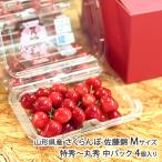  Yamagata префектура производство вишня Sato .M размер Special превосходящий ~ круг превосходящий средний упаковка 4 штук входит / Yamagata сельское хозяйство ./ бесплатная доставка 