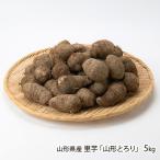  Yamagata префектура производство таро [ Yamagata ...]5kg/COWS/ бесплатная доставка 