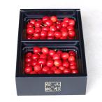  Yamagata префектура производство вишня Sato .L размер Special превосходящий 1kg( несессер входить )( примерно 140 шарик ) * Yamagata префектура синий предмет и т.п. стандарт отгрузка стандарт Special превосходящий товар / отсроченный платеж расчет не возможно /takigchi фрукты сад / бесплатная доставка 