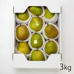 la* Франция Special превосходящий 3kg(8~10 шар )/JA Yamagata .. Tama / бесплатная доставка 