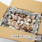  Yamagata префектура производство самый сверху красный чеснок ( самый сверху .. овощи )600g роза ../ отсроченный платеж расчет не возможно /liru Storia палец . сельское хозяйство ./ бесплатная доставка 