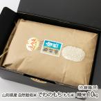 [. мир 7 отчетный год рис ] иметь машина JAS засвидетельствование рис ( нет пестициды * нет химия удобрение ) Yamagata префектура производство природа культивирование рис ... моти ( клейкий рис ). рис 10kg( несессер входить )/ произведение .. сельское хозяйство ./ бесплатная доставка 