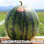  Yamagata префектура хвост цветок . производство арбуз желтый большой шар [ золотой цвет ..](2L~3L)1 шар ввод (1 шар на примерно 7kg~8kg)/ акционерное общество UGG li культура город магазин / бесплатная доставка 