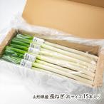  Yamagata префектура производство длина лук порей 2L размер 15 шт. входит ./ отсроченный платеж расчет не возможно /Bella Farm Tsuruoka/ бесплатная доставка 