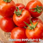  Yamagata префектура производство помидор sinti сладкий 1kg/.... лес / бесплатная доставка 