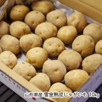  Yamagata префектура производство снег ... картофель 10kg/ средний река фруктовое дерево ./ бесплатная доставка / День отца подарок на Bon Festival 