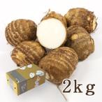  Yamagata префектура производство таро 2kg несессер входить /.. сельское хозяйство место / бесплатная доставка 