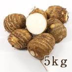  Yamagata префектура производство таро 5kg/.. сельское хозяйство место / бесплатная доставка 