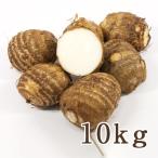  Yamagata префектура производство таро 10kg/.. сельское хозяйство место / бесплатная доставка 