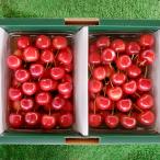  Yamagata префектура производство вишня Sato .1kg(500g×2 упаковка )/ отсроченный платеж расчет не возможно /... зеленый park / бесплатная доставка 