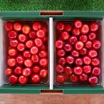  Yamagata префектура производство вишня . превосходящий .1kg(500g×2 упаковка )/ отсроченный платеж расчет не возможно /... зеленый park / бесплатная доставка 