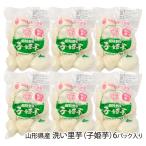  Yamagata префектура производство мытье таро (.. клубень )6 упаковка ввод / отсроченный платеж расчет не возможно /... зеленый park / бесплатная доставка 