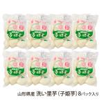  Yamagata префектура производство мытье таро (.. клубень )8 упаковка ввод / отсроченный платеж расчет не возможно /... зеленый park / бесплатная доставка 