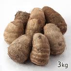  Yamagata префектура производство таро (.. клубень )3kg/ отсроченный платеж расчет не возможно /... зеленый park / бесплатная доставка 