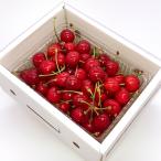  Yamagata префектура производство вишня .... Special превосходящий L размер 500g(500g×1 упаковка )/HAGA фрукты / бесплатная доставка 