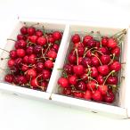  Yamagata префектура производство вишня .... Special превосходящий L размер 1kg(500g×2 упаковка )/HAGA фрукты / бесплатная доставка 