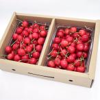  Yamagata префектура производство вишня Sato . Special превосходящий L размер 1kg(500g×2 упаковка )/HAGA фрукты / бесплатная доставка 