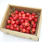  Yamagata префектура производство вишня Sato . превосходящий M*L размер набор 500g(500g×1 упаковка )/HAGA фрукты / бесплатная доставка 