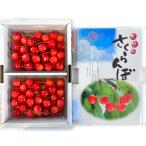  Yamagata префектура производство вишня ....L размер 1kg(500g×2 упаковка )/Kappy Farm/ бесплатная доставка 