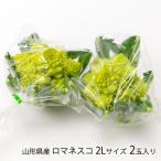  Yamagata префектура производство romanesko2L размер 2 шар ввод (1 шар на 400~500g)/Kappy Farm/ бесплатная доставка 